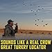 SHINETEC Crow Hunting Call Whistle, Crow Locator Game Call for Predator Decoy, Outdoor Bird Whistle for Hunting Accessories, Fall Hunting Gear Tool, 1 Pcs ﻿