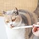 Meow&Woof Katzen-Nassfutterlöffel, Mini-Spatel für Tierfütterung, kleine Gläser, Hundefutterdosen, weiß