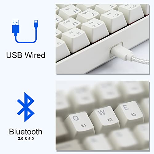 Image of Newmen GM610 60% Wireless Mechanical Gaming Keyboard,Wired /Bluetooth Keyboard,RGB Backlit,61 Anti-Ghosting Keys,Programmable,Hot-Swappable,for Windows Mac Android (Brown)