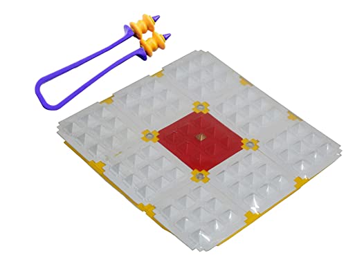 Evolution of the Automobile Industry: A Capability-Architecture-Performance Approach (Elements in Business Strategy)