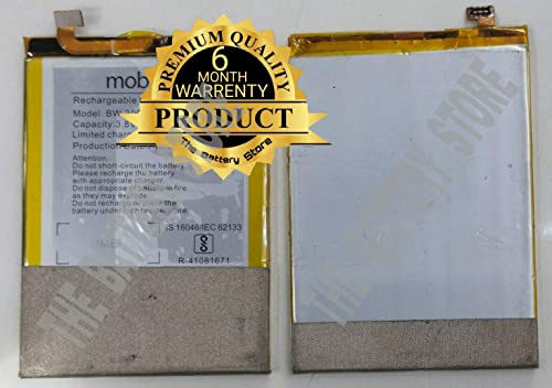 Image of THE BATTERY STORE Orignal BW-300F Battery for MOBISTAR Battery with 6 Months Warranty and HIGH Capacity Battery Backup (BW-300F Battery)