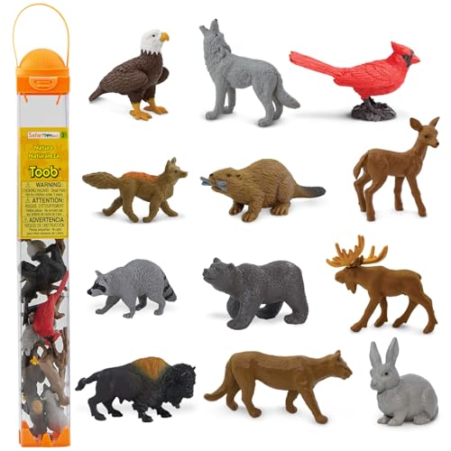 Safari Ltd Nature TOOB - 12 Mini Figurines with Rabbit, Beaver, Doe, Gray Wolf, Fox, Black Bear, Moose, Mountain Lion, Bald Eagle, and More - Educational Toy for Boys, Girls & Kids Ages 3+ by Safari Ltd. - Used condition - US$13.07