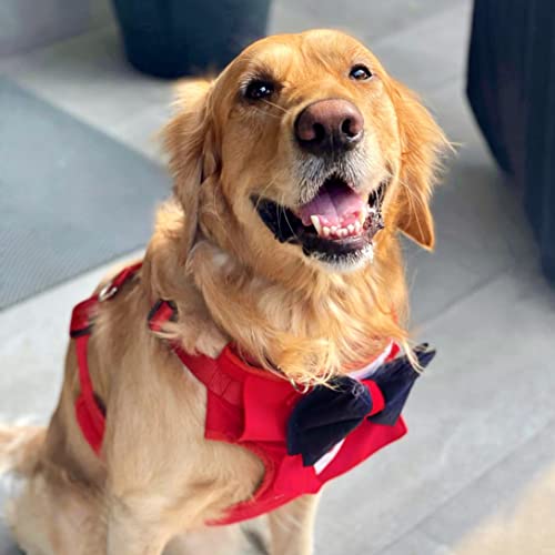 That-Dog-In-Tuxedo-Body-Mesh-Harness-Dog-Tuxedo-Harness-Red-Size-L