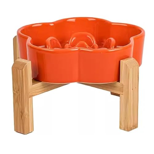 ybgpH LpH Hh~t[h{E Lp  Z~bN rt GTM ~ qfh~ 񕉒Sy 퐻 (IW)