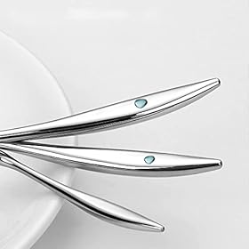 Enhance Your Dining Experience: Buy Our Elegant Mirror Polished Cutlery Set for 12! – CCKUYT