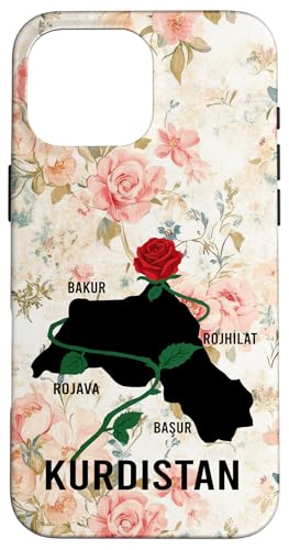 �N���f�B�X�^�������m�E���[�Y�A�o�N�[���E���W�����@�E�o�V���[���A�N���f�B�X�^������D���B �X�}�z�P�[�X iPhone 16 Pro Max �p