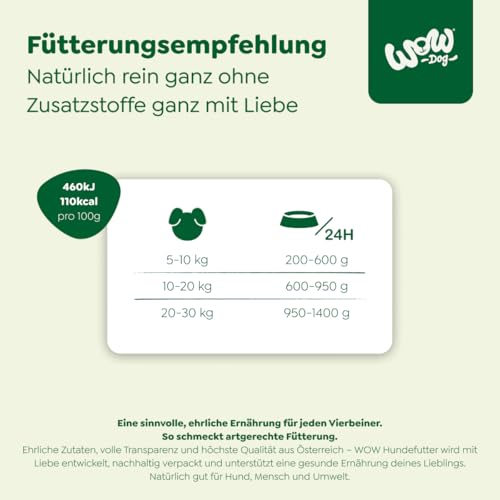WOW Dog Hunde-Nassfutter mit Rind | Enthält Vitamine und Mineralien, ohne Getreide und Zucker | 400 g / 12er Pack
