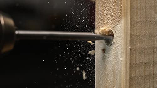 Starrett Flat Wood Drill Bit Kit - 8 Piece KFWDK08 High Speed Steel HSS 1/4 Inch Hex Shank Spade Drill Bits Set - Woodworking Hole Cutter Tool 4 Starrett Flat Wood Drill Bit Kit - 8 Piece KFWDK08 High Speed Steel HSS 1/4 Inch Hex Shank Spade Drill Bits Set - Woodworking Hole Cutter Tool - Image 4