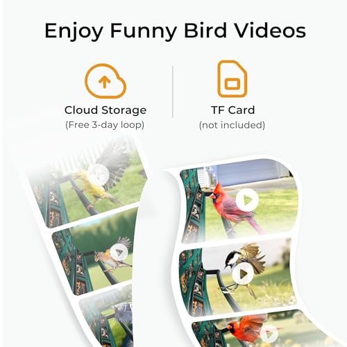 TT Nature 2K Smart Bird Feeder with Camera, Metal Squirrel-Proof Feeder with Solar Power, AI Recognition, Instant Alerts & Cloud Storage – Ideal Outdoor Gift for Bird Lovers by TT Nature - Image 4