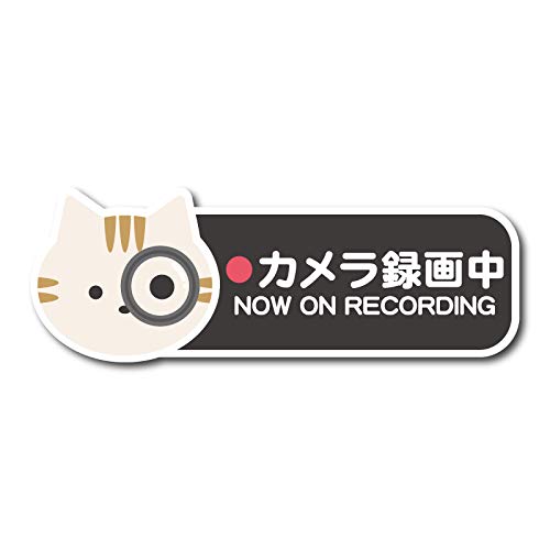 J^撆 Now on recording V[ XebJ[ L lR g V ubN hR hCuR[_[ O^撆 ^撆 ^]h~XebJ[