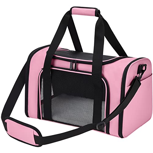 List of Top Ten Best Cat Carriers For Large Cats 20 Lbs [Experts