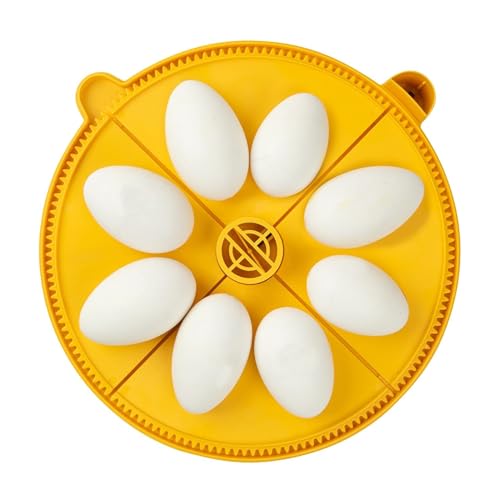 Brinsea Extra Large Egg Quadrant Insert for Maxi Advance Incubator System, Fits 8 Goose-Size Eggs