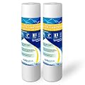 Big Sediment Replacement Water Filter 50 Micron 4.5”x20" Cartridges WELL-MATCHED with 155358-43, 2PP20BB1M, AP810-2, FPMB-BB5-20, FP25B, P5-20BB, SDC-45-2005 (2 Pack)