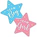 Team Boy and Team Girl Gender Reveal Stickers Labels Waterproof for Party Invitations Voting Games,Funny Star Shaped Blue and Pink Gender Reveal Stickers for Gender Revealing Party