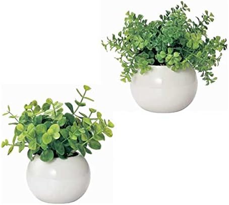 信頼 かわいい まあるい光触媒グリーン ファンシェイプ2個セット ユーカリ