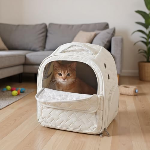 Sac à dos de transport pour chat pliable pour partager chaque aventure ensemble