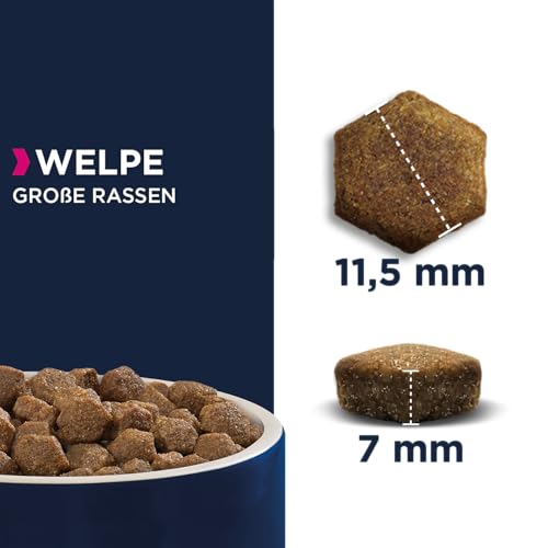 Eukanuba Welpenfutter mit Lamm & Reis für große Rassen - Trockenfutter für Junior Hunde, 2,5 kg