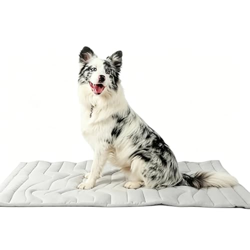 Pfotenchill Kühlmatte - Die Innovative Kühlmatte für Hunde S/M/L/XL Pfoten chill kühlmatte Hund Selbstkühlend Sommer Kühldecke hundematte für Zuhause Unterweg oder im Auto (Grau 122*71cm)