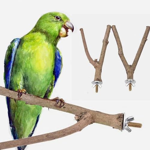 Image of Pet Parrot Bird Cage Wooden Perches Platform - Play Toy Pet Parrot and Small Birds Wood Stand Rack Toy with Y Shape Branch Perches (Size 6-Inch) 1 Pics