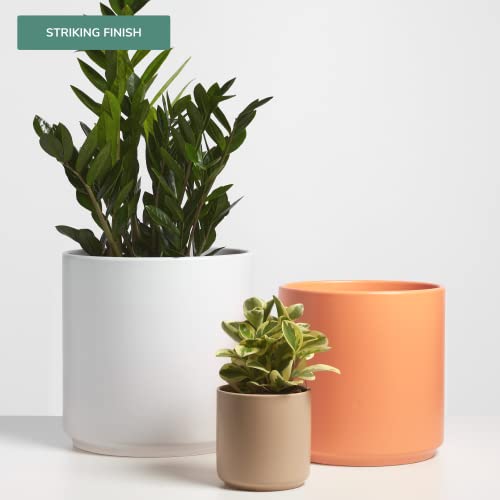 Peach & Pebble 10 Inch Gold Ceramic Planter. Classic Cylinder Plant Pot For House Plants And Indoor Plants (Drainage + Stopper Included). #TOP1