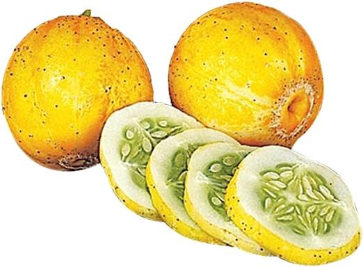50 Seeds- Organic All Seasons Lemon Cucumber Seeds (B0CBVWB8CH) Amazon Price History, Amazon Price Tracker