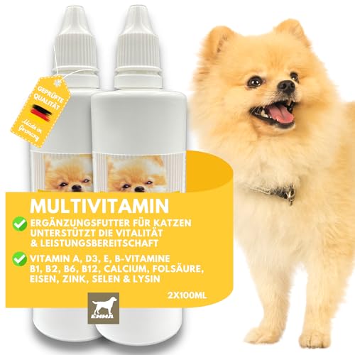 Complejo de Vitamina B para Perros 2x100ml
