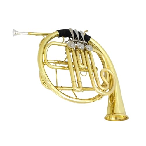 lp[tHjA 3L[ F Bb t`z Ǌy S[h Xvbgs[X P[XƃuV