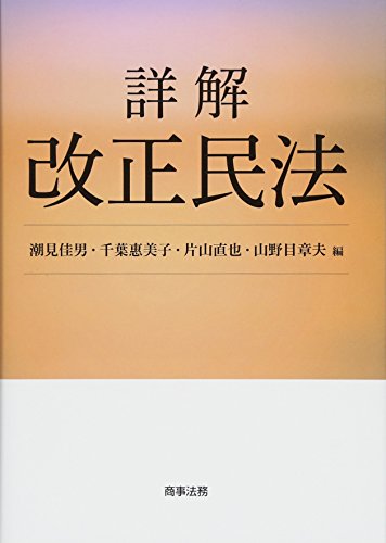 詳解 改正民法 詳解 改正民法