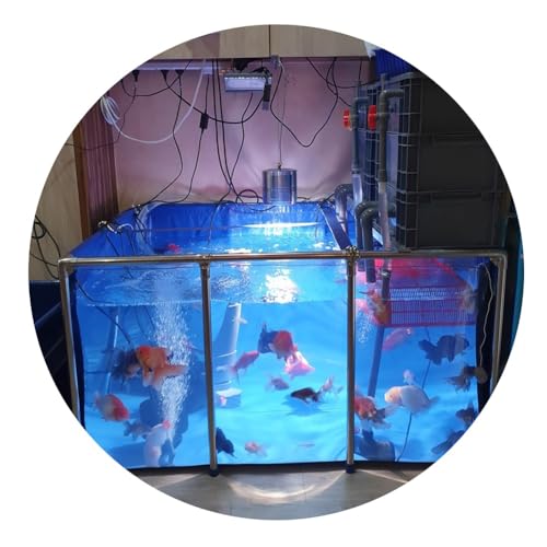 Großer Fischteich aus PVC-Segeltuch mit Stahlrahmen – klares Sichtfenster für die Zucht von Koi und Goldfischen, idealer Aquariumpool für den Garten im Freien – geräumiges und langlebiges De Großer Fischteich aus PVC-Segeltuch mit Stahlrahmen – klares Sichtfenster für die Zucht von Koi und Goldfischen, idealer Aquariumpool für den Garten im Freien – geräumiges und langlebiges De