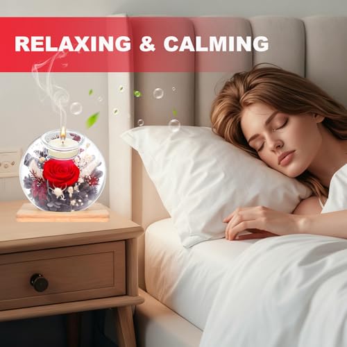 BOIKGOIK Preserved Flower-Eternal Real Red Rose Birthday gift set for Women, Forever Flowers in Glass for Delivery Prime, Unique Gift on Mothers Day Anniversary Valentine (Red) — view 2