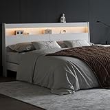 KATYGLORY Queen Headboard Only Bed Backboard with Storage, Skirting Groove, Power Outlet, 2 USB Ports and LED Light Sturdy and Stable Wooden White Headboard