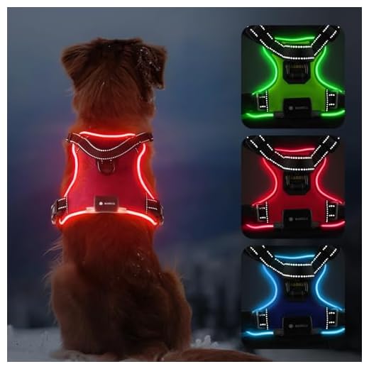MASBRILL LED Hundegeschirr für Nachtspaziergänge