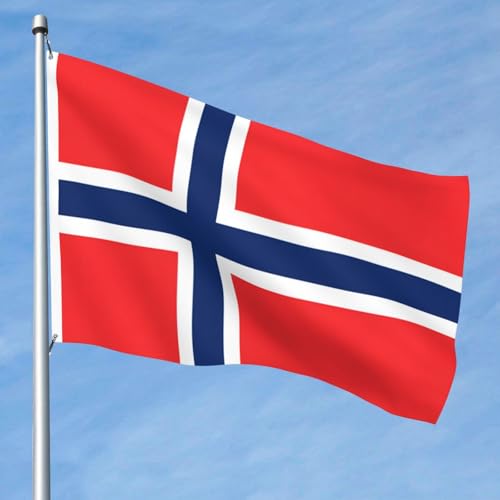 Drapeau norvégien double face en polyester de haute qualité résistant pour mât extérieur