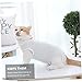 CIYODO Pet Cat Recovery Suit Breathable Post-Operative Clothing for Abdominal Wounds Protects Against Scratching and Licking for Recovery XL