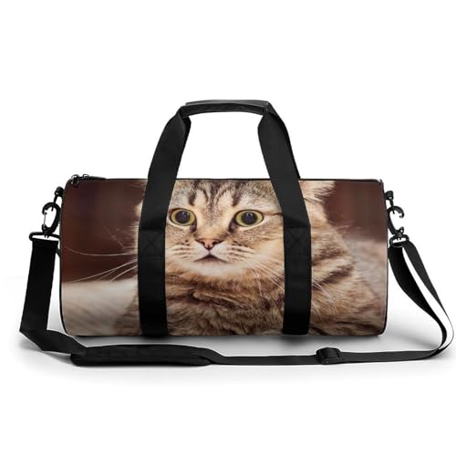 Sac de sport chat brun mignon 45cm pour gym voyage et camping
