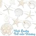 3pcs Paper Beach Seashell Party Banners Ocean Party Decorations Natural Seashell Starfish Conch Theme Cardboard Banners for Coastal Beach Sea Birthday Party Baby Shower Supplies