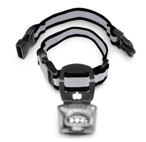 PupLight2 Twice as Bright with Reflective Dog Safety Collar, Silver