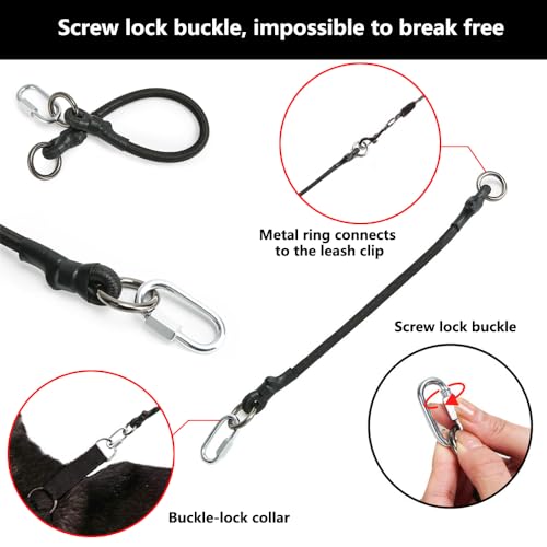 LogFaadCoi 2-Pack Heavy Duty Dog Leash Extenders, Shock Absorbing Stretch, Safety Lock Clips, Anti-Burst for Reduced Back Strain, Compatible with All Collars & Leashes, Ideal for Small to Large Dogs - Thumbnail 6