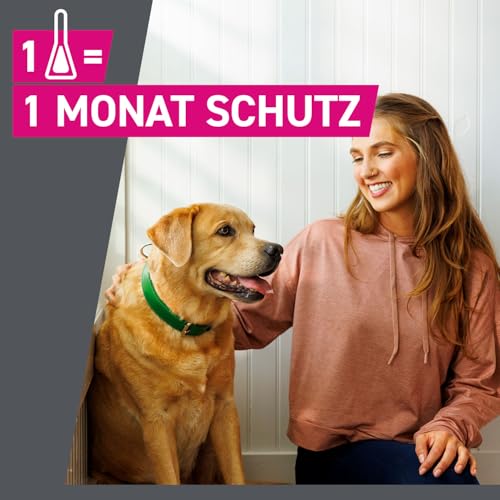 FRONTLINE TRI-ACT Hund L gegen Zecken, Flöhe & Mücken (20 bis 40 kg)