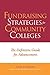 Fundraising Strategies for Community Colleges: The Definitive Guide for Advancement