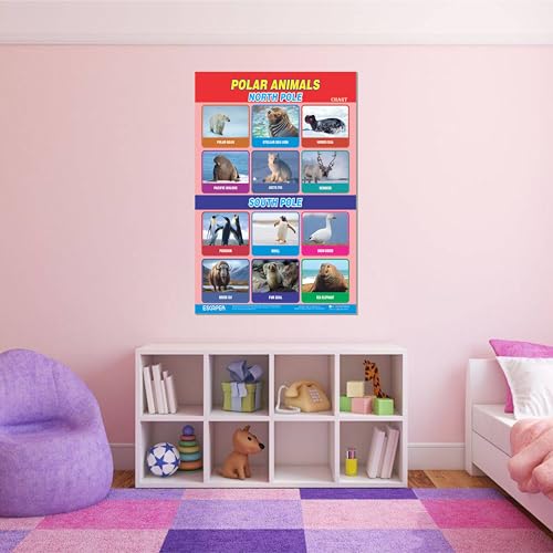 Image of ESCAPER Polar Animals Educational Charts for Kids Learning (11.5 x 17.5 inches), 300 GSM Paper Laminated, Self Adhesive Back, Learning Chart, Kids Study Material, Educational Posters
