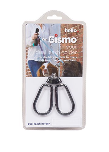 Dog gone smart leash Clearance