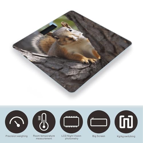 Báscula digital de baño con capacidad 400 lb y pantalla LCD miniatura 3