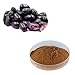 Yuktha Naturals Naval Kottai Powder | Jamblang | Jambolan | Dried Jamun Seed | Eugenia jambolana or Syzygium cumini | நாவல் கொட்டை பொடி 100g/3.5oz