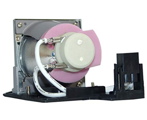 Goldenriver Bl-Fp230D / Bl-Fp230H / Bl-Fp230J Replacement Projector Lamp With Housing Compatible With Optoma Gt750 / Gt750E #TOP2