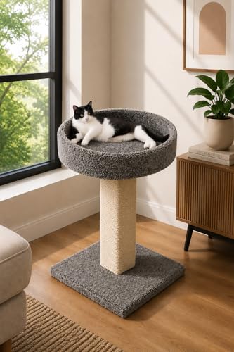 Rascador para gato New Cat Condos resistente miniatura 1