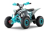 Nitro Motors Replay 1200W 48V Elektro Kinderquad 6 Zoll Snowy Tire XL LED Drossel Hupe Handprotektoren (Grau-Blau)