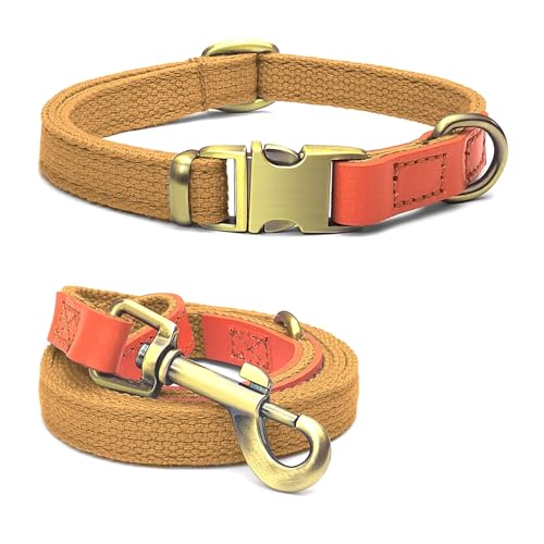 QRDA Dog Collar and Lead Set Khaki Colour Personalized Adjustable Tactical Belt for Small Dogs Medium Large Dogs L