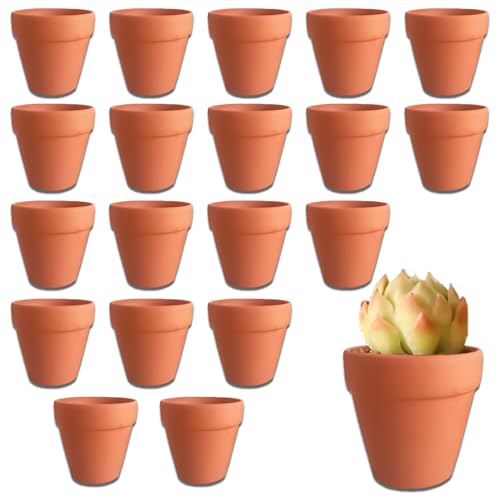 DYOUen 20 Pcs Terrakotta Töpfe 3x3.5 cm Mini Pflanzen Töpfe Keramik Blumentöpfe für Innen/Outdoor Kaktus Sukkulente Haus Pflanzen