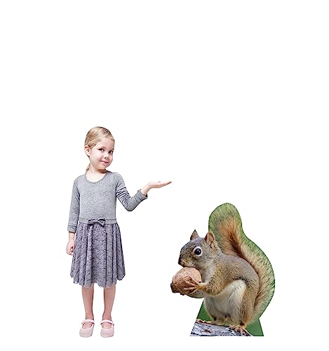 Image of Cardboard People Squirrel Life Size Cardboard Cutout Standup - Made in USA